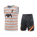 camiseta liverpool cheleco Lp11 2022/2023 camiseta liverpool cheleco Lp11 2022/2023