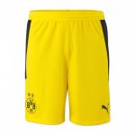 Shorts_Dortmund_Primera_yellow_2020-21.jpg