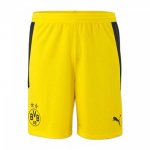 Shorts_Dortmund_Primera_yellow_2020-21.jpg Shorts_Dortmund_Primera_yellow_2020-21.jpg