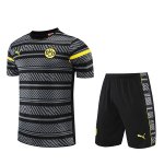 Camiseta Dortmund Entrenamiento Gris Dt03 2022/2023 Camiseta Dortmund Entrenamiento Gris Dt03 2022/2023