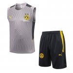 Camiseta Dortmund Chaleco Gris Dt11 2022/2023 Camiseta Dortmund Chaleco Gris Dt11 2022/2023